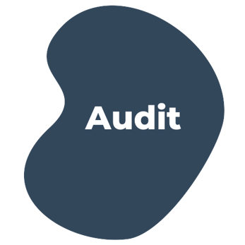 Audit__6_-removebg-preview