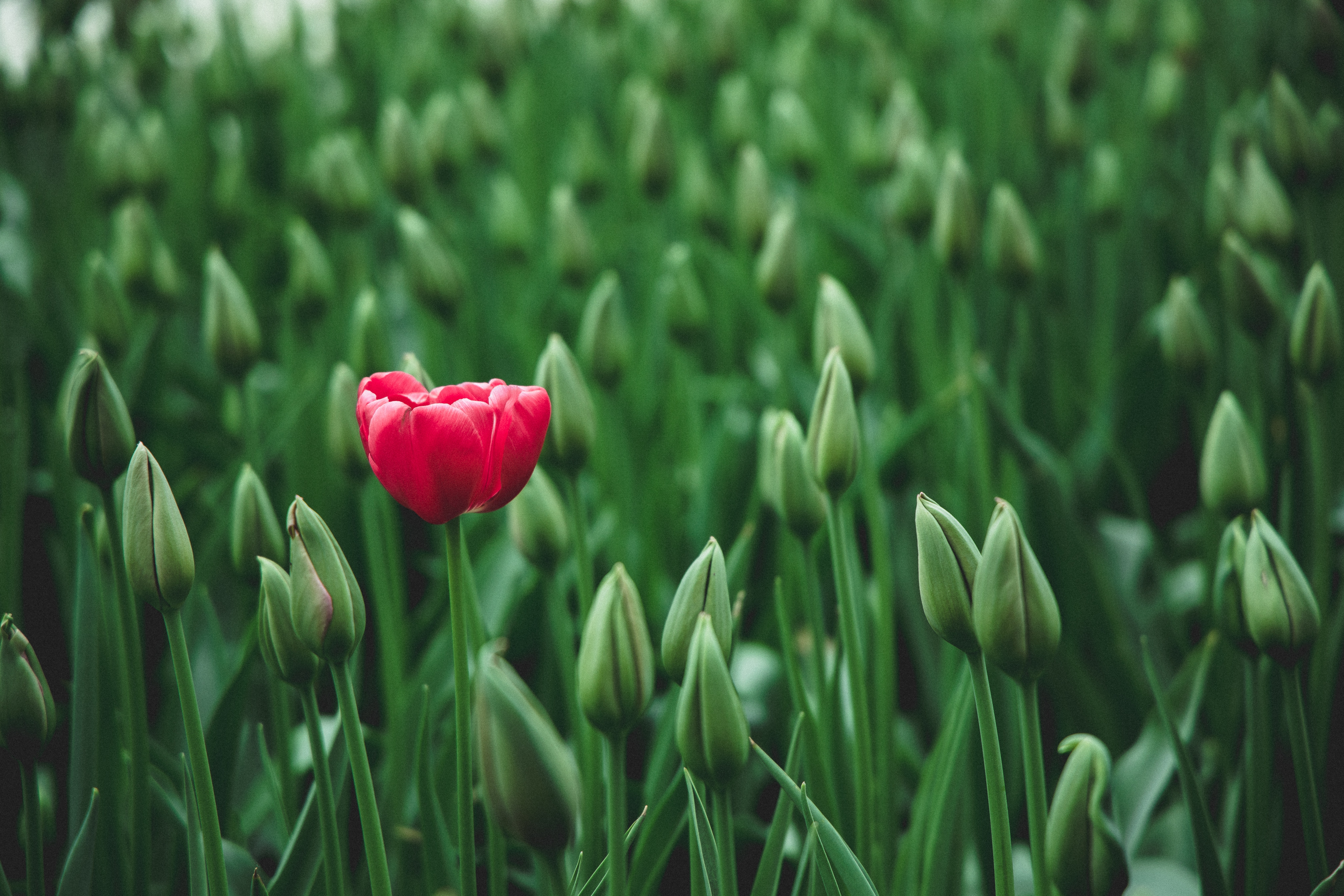 your value proposition is what makes you unique